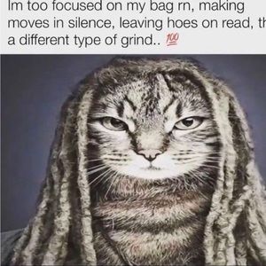 Meet your Posher, Supe